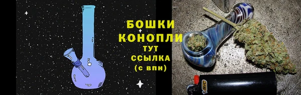 ПСИЛОЦИБИНОВЫЕ ГРИБЫ Покров
