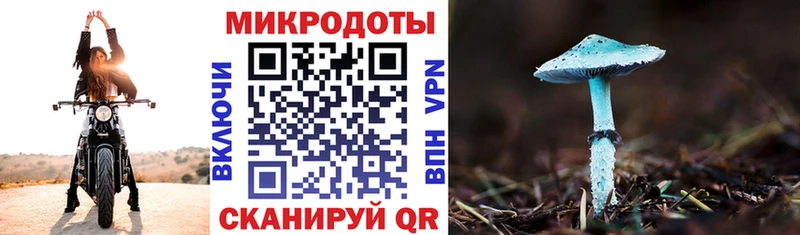Псилоцибиновые грибы мухоморы Магас